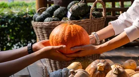 С этой специей тыква раскрывает вкус на 100% — это не чеснок и не паприка