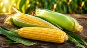 Шеф-повар рассказала, как очистить початок кукурузы от листьев за несколько секунд
