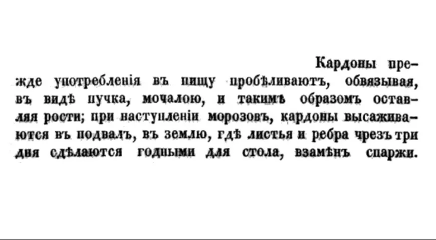 Информация о кардоне из книги по ботанике, изданной в Российской империи