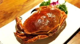 Русский Crab Market открылся в Дубаи