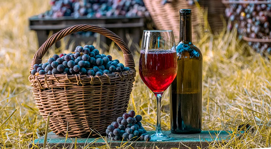 В России и Молдове из винограда Изабелла готовят домашние полусладкие и десертные вин