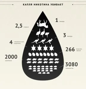 Бросай курить! Капля никотина убивает 2000 хомячков