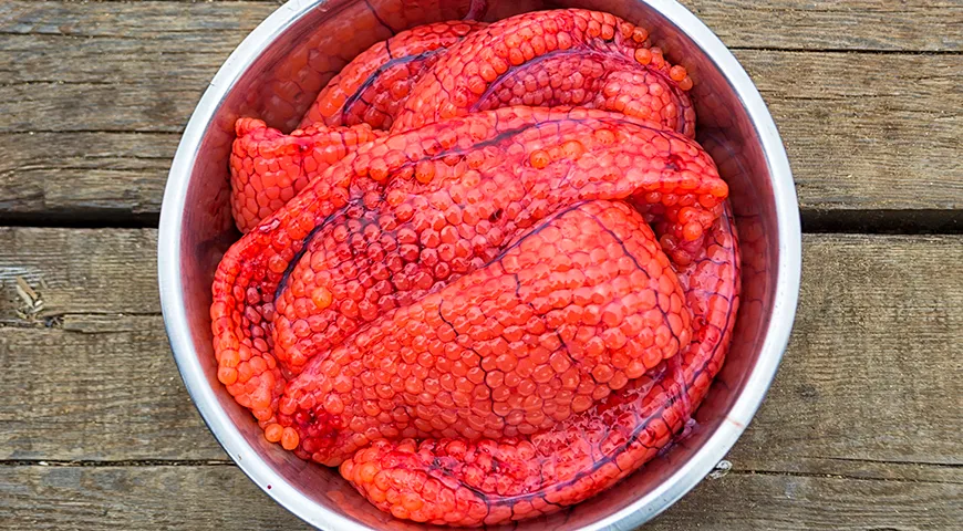 Размер икры кеты коррелирует с размером самки: крупные особи дают и более крупное зерно, достигающее верхнего порога в 7–8 мм еще до обработки