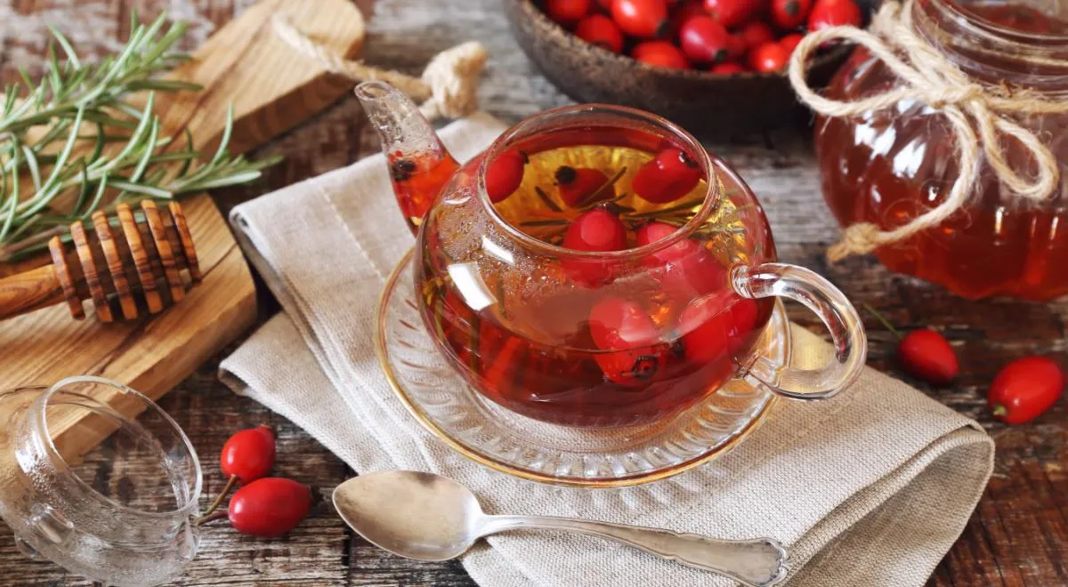 Удивительные свойства чая из шиповника и что о нем надо знать