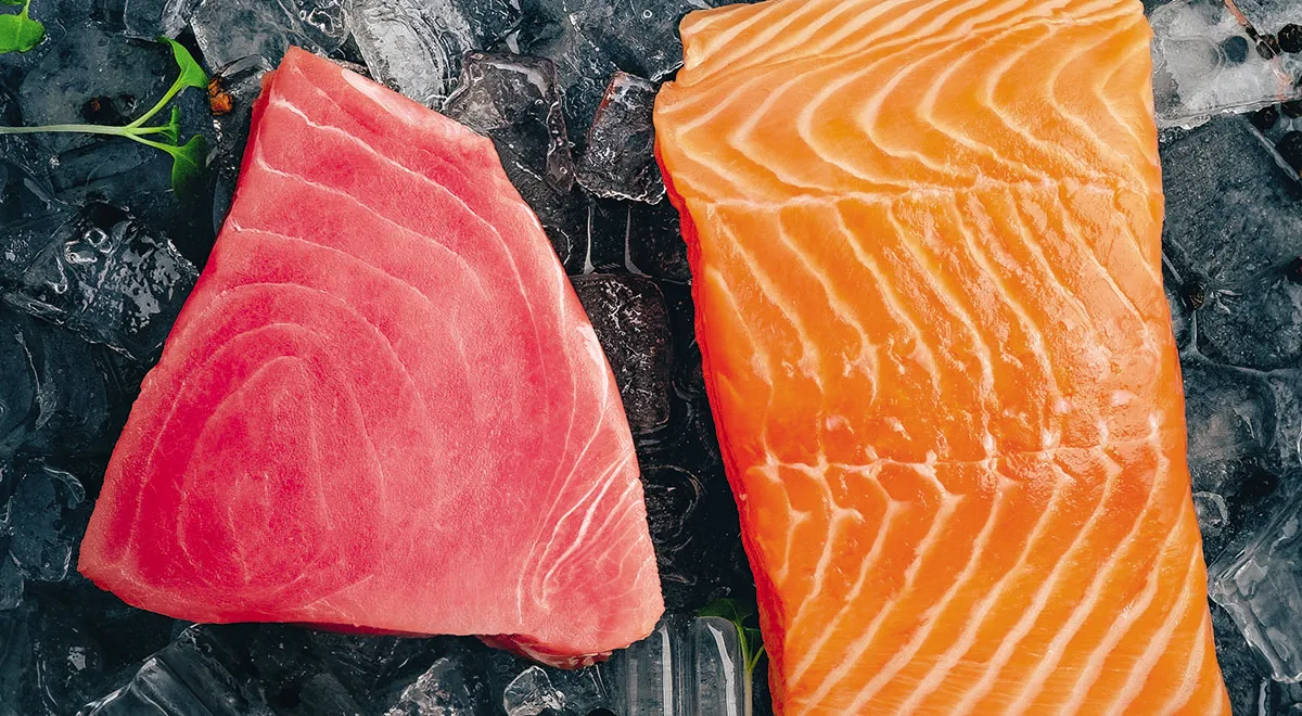 Изысканно и просто: что приготовить с форелью и тунцом