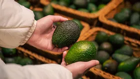 Как узнать, что авокадо спелое