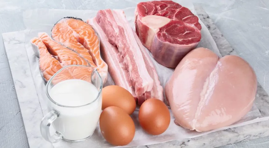 Животные продукты — лидеры по содержанию белка 