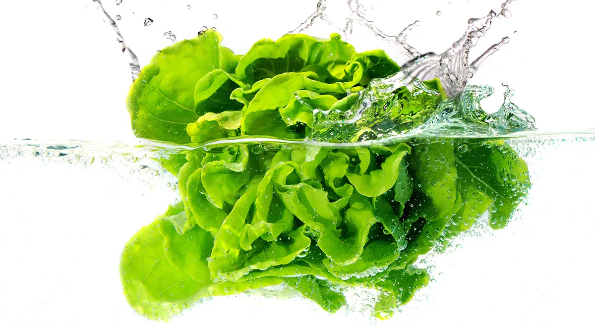 Как правильно мыть, сушить, хранить и сочетать листовые салаты