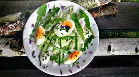 Простые рецепты с яйцом и шнитт-луком