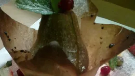 Рецепты с приправами, орехами и грушей