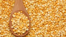 Сыр из желтого гороха создали в Дании