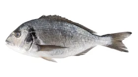 Дорада