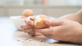 Два белка на ночь для сжигания жира: работает ли лайфхак для похудения