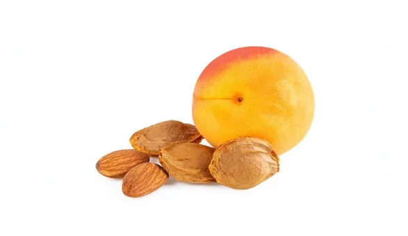 Абрикосовая косточка