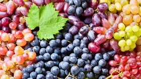 Виноградный сезон в «Магните»: спешите собрать урожай!