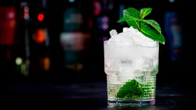 Джин-тоник с мятой