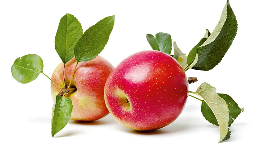 Яблоки содержат ряд витаминов и микроэлементов