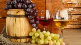 Вина Франции