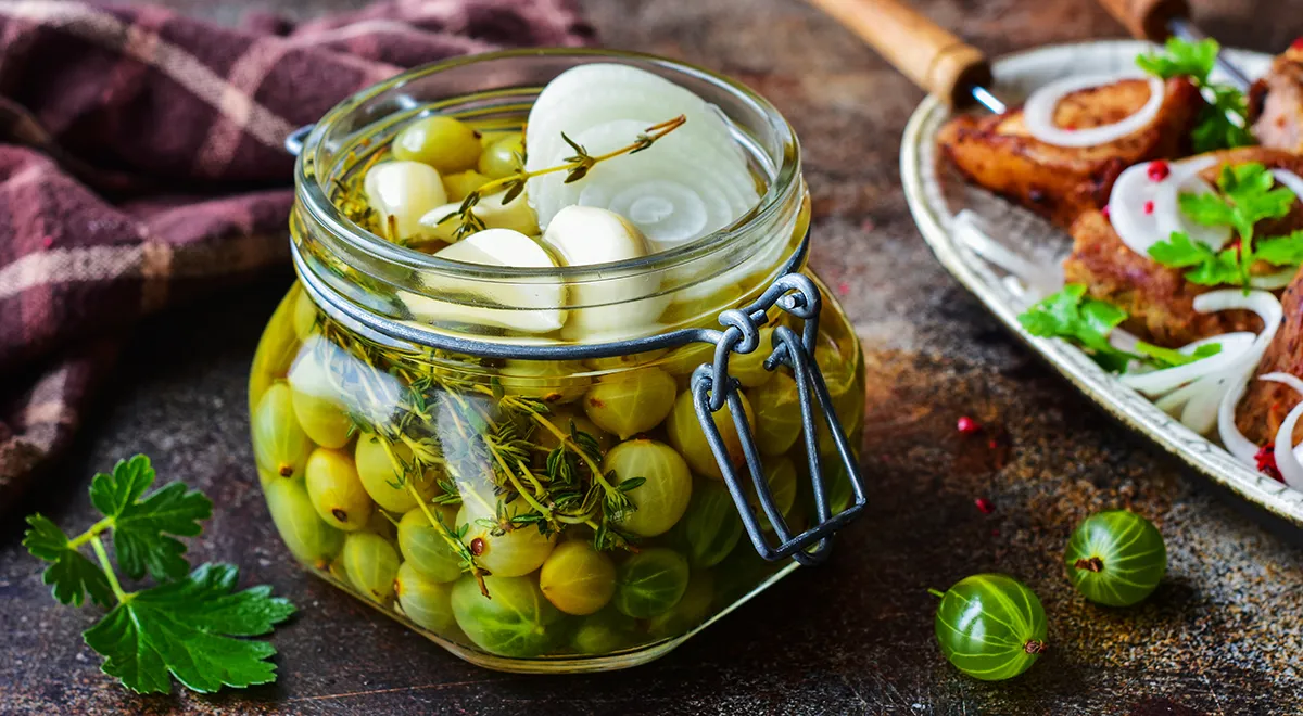 Маринованный зеленый крыжовник на зиму