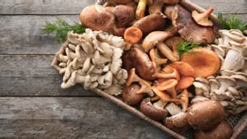 Что полезного в грибах и почему нужно чаще есть их