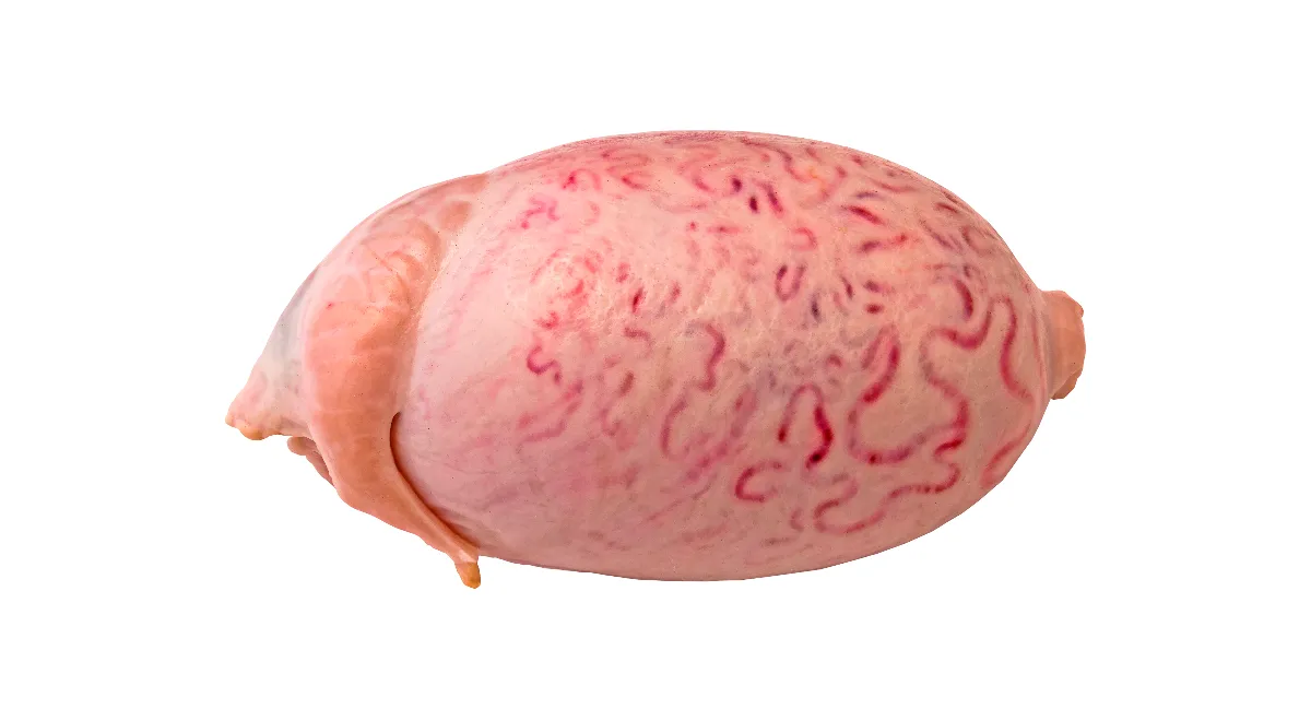 Бычьи яйца