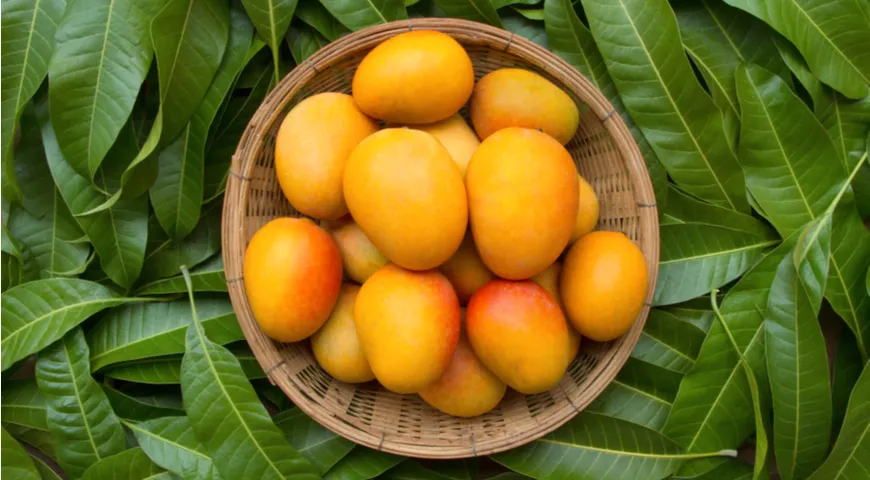 Тайское манго