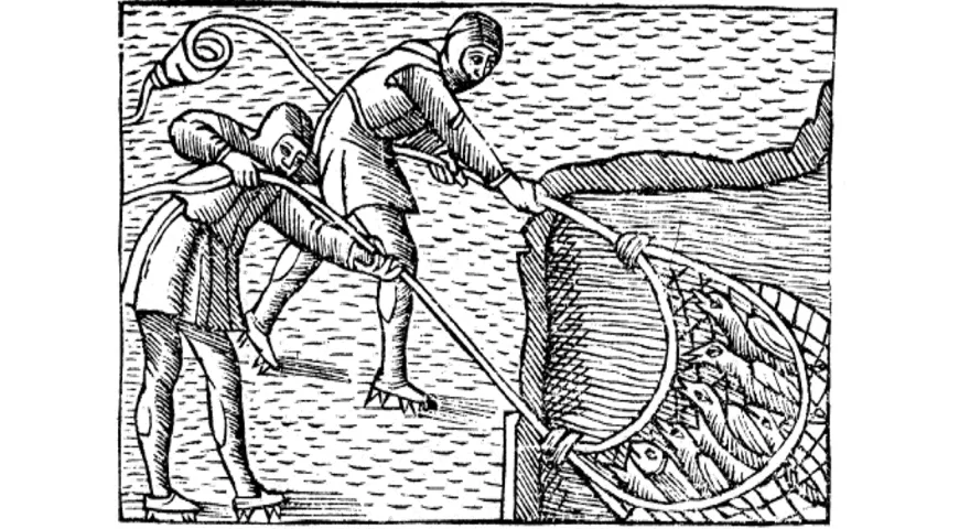 Лов сельди сетью (из книги шведского церковного деятеля Олава Магнуса, начало XVI в.)