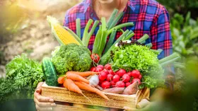 Щедрый подарок весны: врач назвала овощ, богатый антиоксидантами