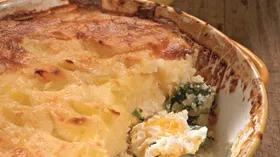Рецепты с сырами, судаком и рыбой речной