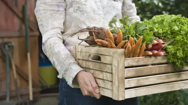 Как перестать покупать и выбрасывать лишние продукты и начать экономить