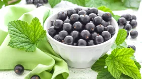 Черная смородина: польза, вред и противопоказания