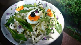 Простые рецепты с огурцом и капустой пекинской: рецепты с фото