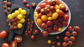 Свежий вкус: где выращивают помидоры для «Магнит» 