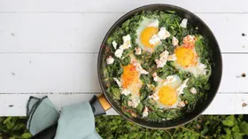 Рецепты с молочной продукцией, рассольными сырами и щавелем