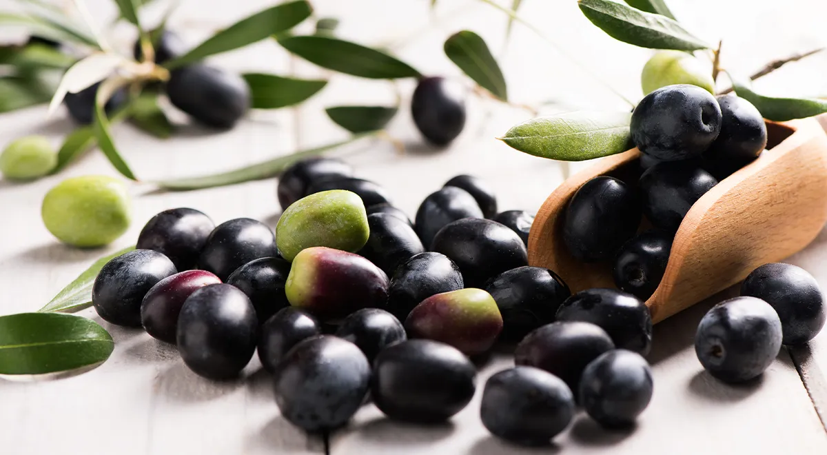 Чем полезны маслины и как их правильно употреблять