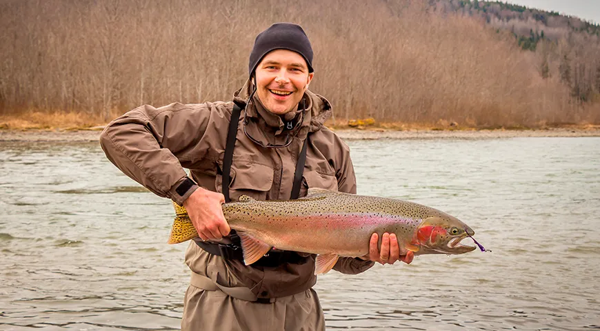 На рыбных фермах радужная форель доступна круглогодично, тогда как вылов дикой форели сезонен — с конца весны до середины осени