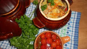 Горшочки с мясным ассорти и лесными грибами