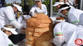 Самый большой в России «муравейник» весом 219 кг приготовили в Башкирии