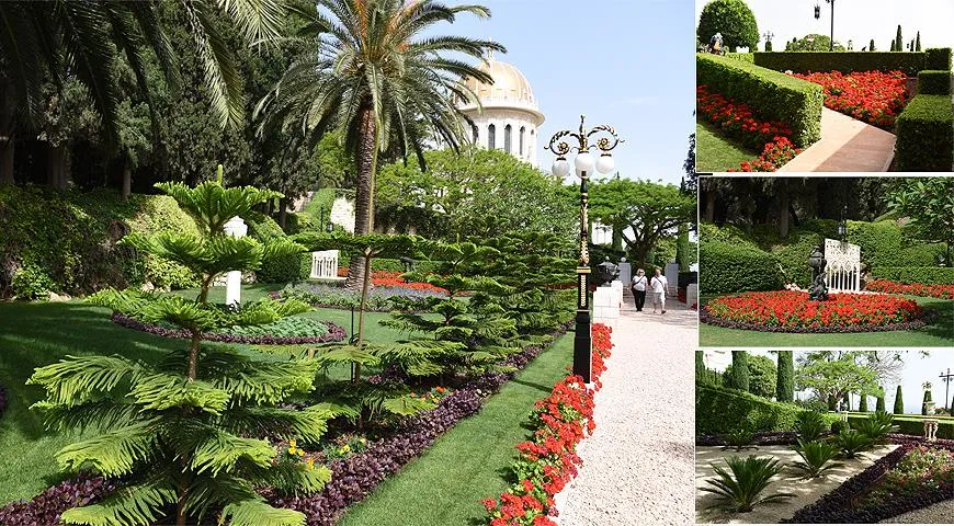 Бахайские сады выполнены в восточном стиле. Всюду аккуратно стриженные газоны, яркие цветы (в основном в красной гамме). Растения подобраны по цвету, символическому значению и периоду цветения.