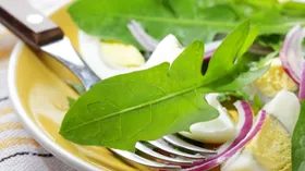 Рецепты с маслом растительным, яйцом и салатом
