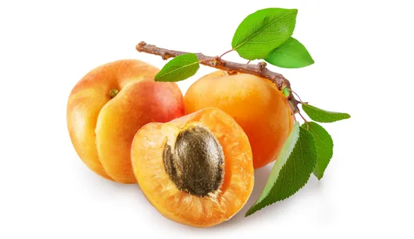 Абрикос