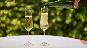 Рецепты домашнего шампанского из винограда, виноградных листьев и листьев смородины