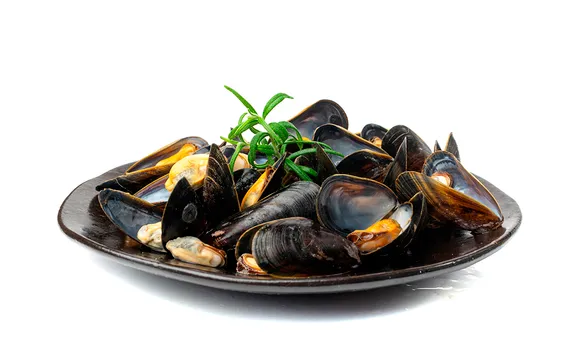 Вареные мидии