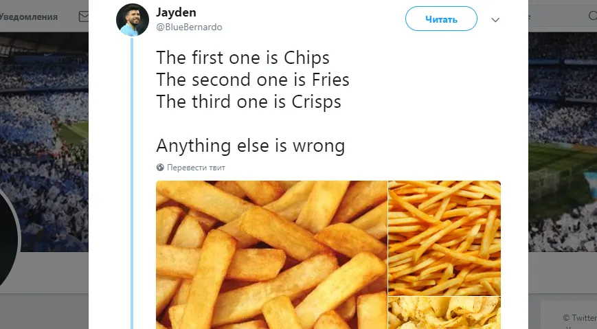 Твит о том, как правильно называть каждый из видов жареной картошки