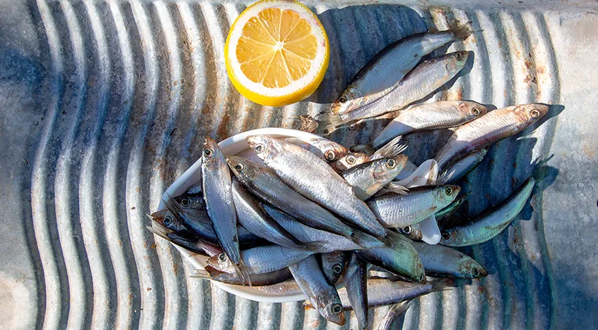 Крупнейшие российские добывающие компании тюльки базируются в Астраханской области, Краснодарском крае, Ростовской области