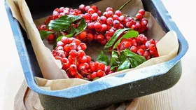 Коллекция рецептов блюд с рябиной