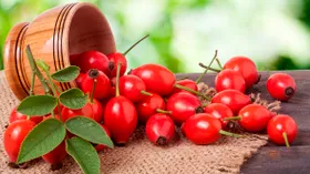 В каком виде шиповник не помогает, а раздражает желудок — диетолог посоветовала не увлекаться