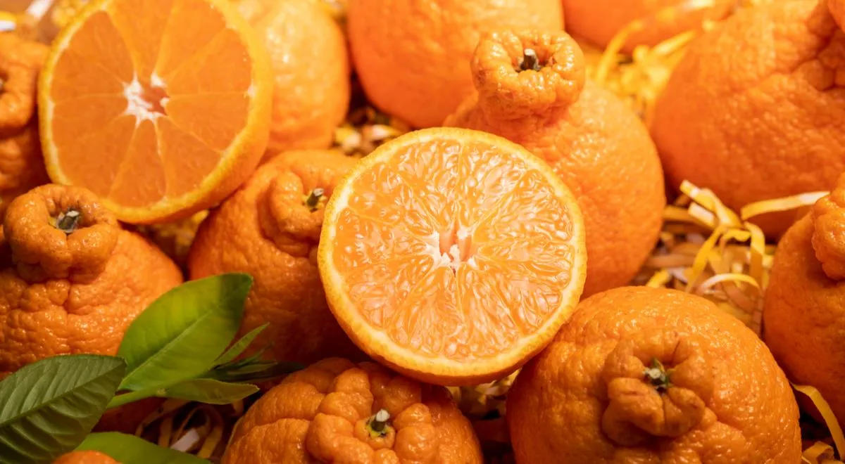 апельсины сумо