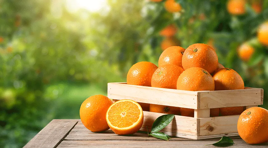 Солнечный апельсин, пожалуй, самый универсальный из цитрусовых