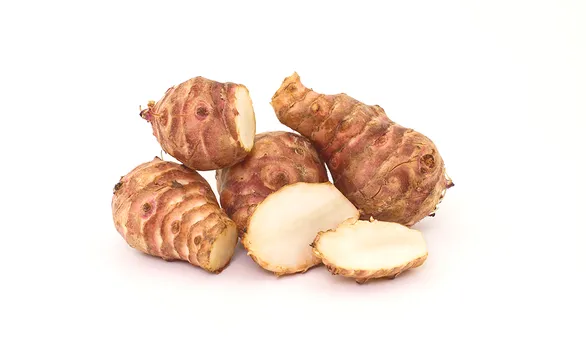 Топинамбур